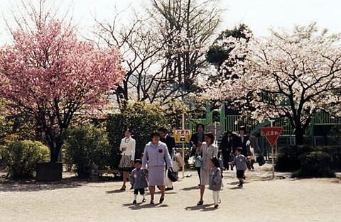 【4月】桜の花に迎えられて